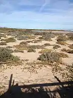 Isla Tiburón tiene un paisaje árido