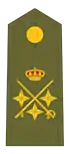 Divisa de teniente general (Ejército de Tierra)