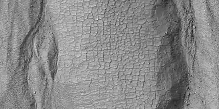 Vista cercana de polígonos cauces cercanos en Ross Cráter, cuando visto por HiRISE bajo HiWish Nota  de programa: esto es una ampliación  de una imagen anterior.