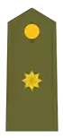 Insignias de comandante del Ejército de Tierra.