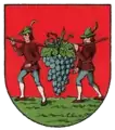 Escudo de Wiennhaus, Viena