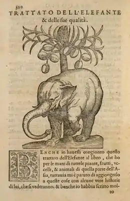 Ilustración de la pág. 320 de la edición de F. Ziletti (Venecia, 1585) del "Tractado de las drogas...". El último capítulo del libro trata sobre el elefante.