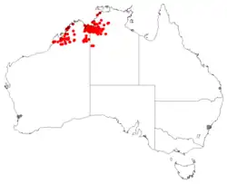 Registros de ocurrencia de GBIF