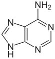 Imagen de la estructura