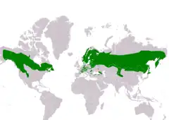 Distribución de Aegolius funereus