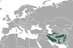 Distribución de la pica afgana