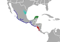 Distribución de A. bilineatus: Azul = A. b. bilineatus, rojo = A. b. howardgloydi, verde = A. b. russeolus, celeste = A. b. taylori.