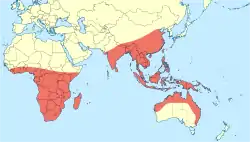 Distribución del género Agriocnemis