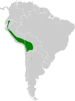 Distribución geográfica del gaucho andino.