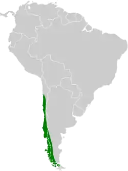 Distribución geográfica del gaucho grande.