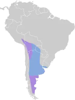 Distribución geográfica del gaucho gris.