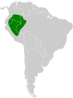 Distribución geográfica del hormiguero hombroblanco.