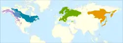 Mapa de distribución de las subespecies
:     Alnus incana tenuifolia
:     Alnus incana rugosa.
:     Alnus incana  incana.
:     Alnus incana  hirsuta.