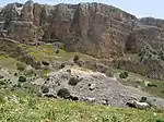 Los caballos deambulan por el arroyo Amud, cerca del Kinéret