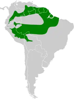 Distribución geográfica del ticotico colirrufo.