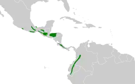 Distribución geográfica del ticotico de anteojos.