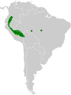 Distribución geográfica del titico carioscuro.