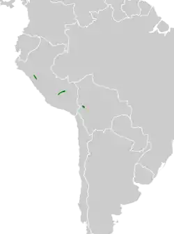 Distribución geográfica del cachudito pechicenizo.