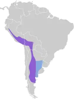 Distribución geográfica del cachudito piquiamarillo.