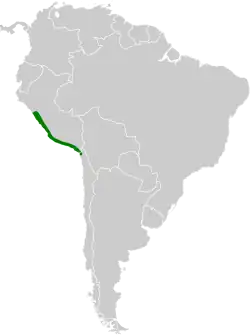 Distribución geográfica del cachudito crestiblanco.
