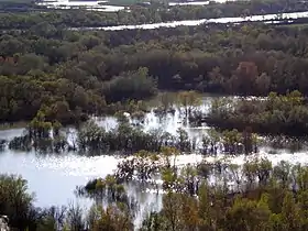El lago de inundación del Galacho de Juslibol durante una crecida del Ebro