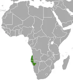 Distribución de la mangosta esbelta de Angola