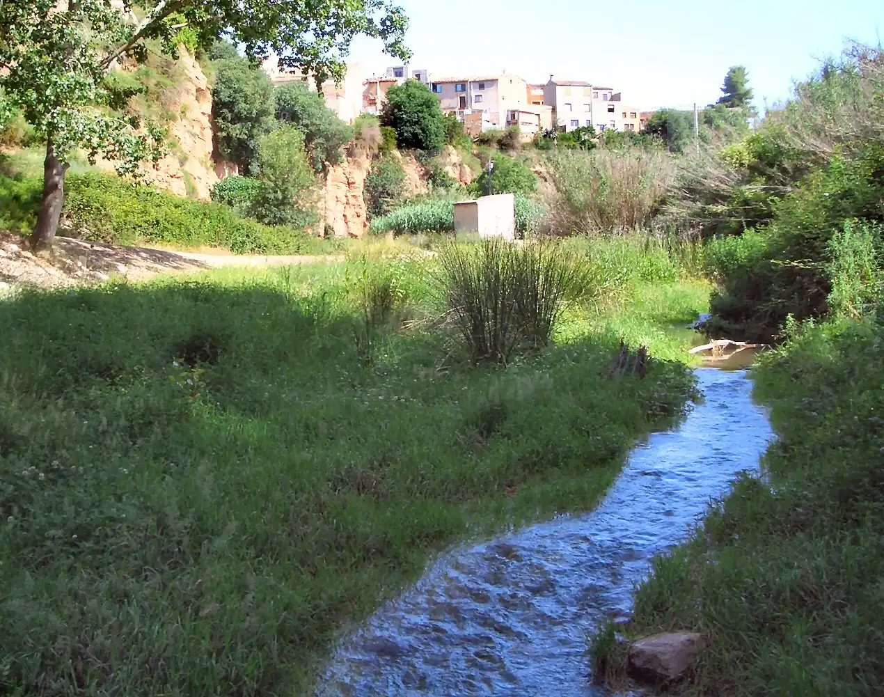 El río Anguera a su paso por Pira