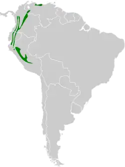 Distribución geográfica de la tangara aliazul (excluyendo A. s. flavinucha)