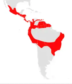 Mapa de distribución del Murciélago lengüilargo sin cola.