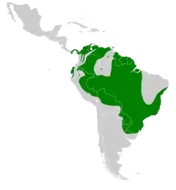 Mapa de distribución de Anthracothorax nigricollis.