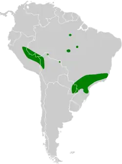 Distribución geográfica del chotacabras coladeseda.