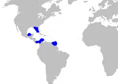 Mapa de distribución de A. parvipinnis.