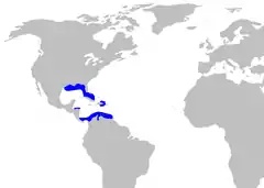 Distribución geográfica de Apristurus riveri (en azul).