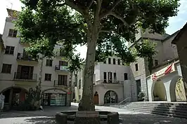 Plaza Mayor