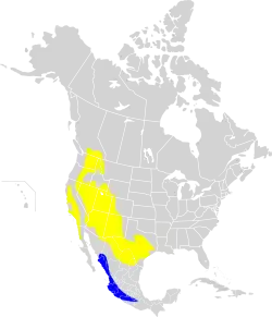 En amarillo la distribución de la especie en época de crianza; en azul su distribución en invierno.