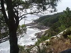 Playa de Cantareira.