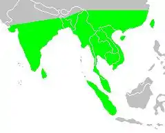 Núcleo de su área de distribución en verde. Las poblaciones de norte no aparecen.