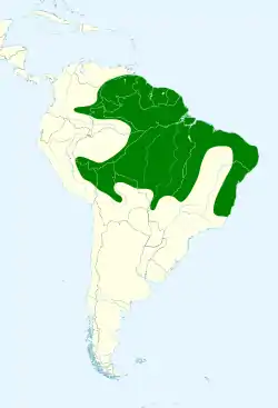 Distribución geográfica del cerquero pectoral.
