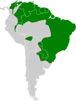 Distribución geográfica de la viudita cabeciblanca.