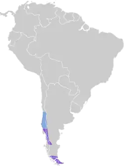 Distribución geográfica del canastero austral.