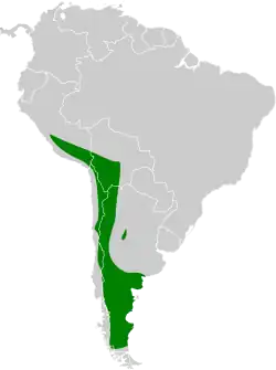 Distribución geográfica del canastero pálido.