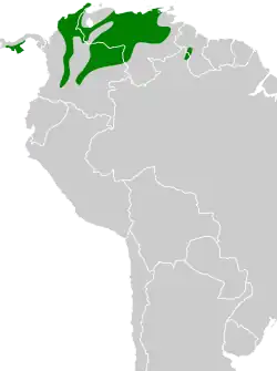 Distribución geográfica del mosquerito ojiblanco.
