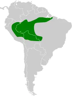 Distribución geográfica del atila ojiblanco.