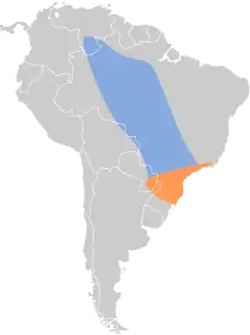 Distribución geográfica del atila cabecigrís.