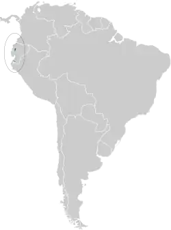 Distribución geográfica del atila ocráceo.