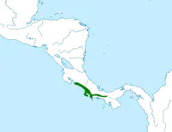 Distribución geográfica del ticotico de Chiriquí.