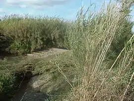 Azud de la Acequia de Mestalla