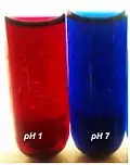 Azul de Hidroxinaftol a pH ácido (izquierda) y neutro (derecha)