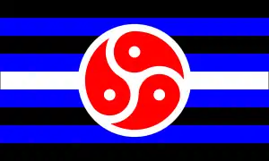 BDSM Rights Flag colour