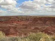 Desierto pintado.